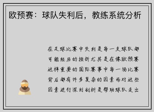 欧预赛：球队失利后，教练系统分析